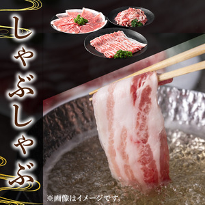鹿児島県産 豚肉 さつま 黒豚 しゃぶしゃぶ 2種 切り落とし セット (合計2.2kg)【KNOT】 A701