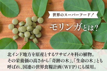 AI376 MORINGA2000 60g 1袋 [長崎県 島原市]
