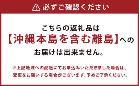 紫苑 2kg ぶどう 葡萄 フルーツ 果物 岡山県 岡山県産 2026年 先行予約 【2026年10月上旬-11月下旬発送予定】