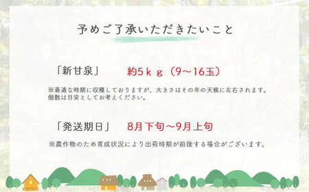 鳥取県だけで作られている 幻の梨 新甘泉【鳥取県産】５kg(生橋農園) 梨 果物 フルーツ