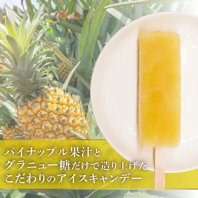 【久保田食品 アイス】パイナップルアイス 20本