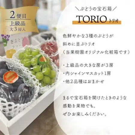 【発送月固定定期便】量より質! 桃と葡萄と梨の上級品が届く、果樹園の人気定期便!(岡山県産)全3回【配送不可地域：離島・北海道・沖縄県】【4066247】