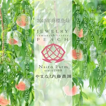 宝石のように磨かれた桃 やまなし内藤農園の白桃【ご自宅用】約1.5kg(4～7玉)【配送不可地域：離島】【1608938】