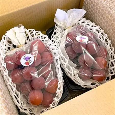 2026年発送【訳あり】種なしぶどう 青森県産クインニーナ 2房(1.0kg～1.2kg)_果物・フルーツ ぶどう・マスカット  ブドウ 葡萄 _【配送不可地域：離島】【1613277】
