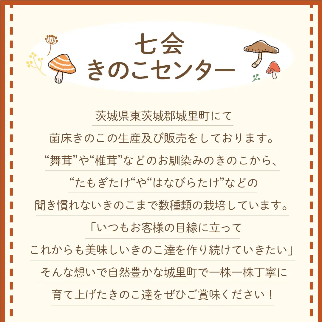 《 全３回 隔月定期便 》 きのこ の 詰め合わせ Lサイズ 約2kg （茨城県共通返礼品 城里町） 定期便 キノコ 舞茸 あわび茸 たもぎ茸 しいたけ 花びら茸 セット 鍋 炒め物 [CX010sa]