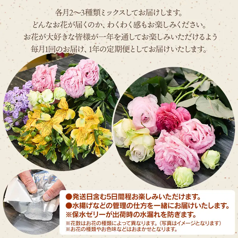 何が届くかお楽しみ★【6ヶ月定期便】鶴岡産切花ミックスセット Aコース6回　花蔵（HANAZO）　K-733