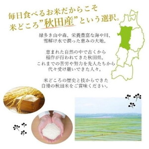 令和7年産 あきたこまち 玄米 30kg 秋田県産 お米 米 ごはん ご飯 単一原料米