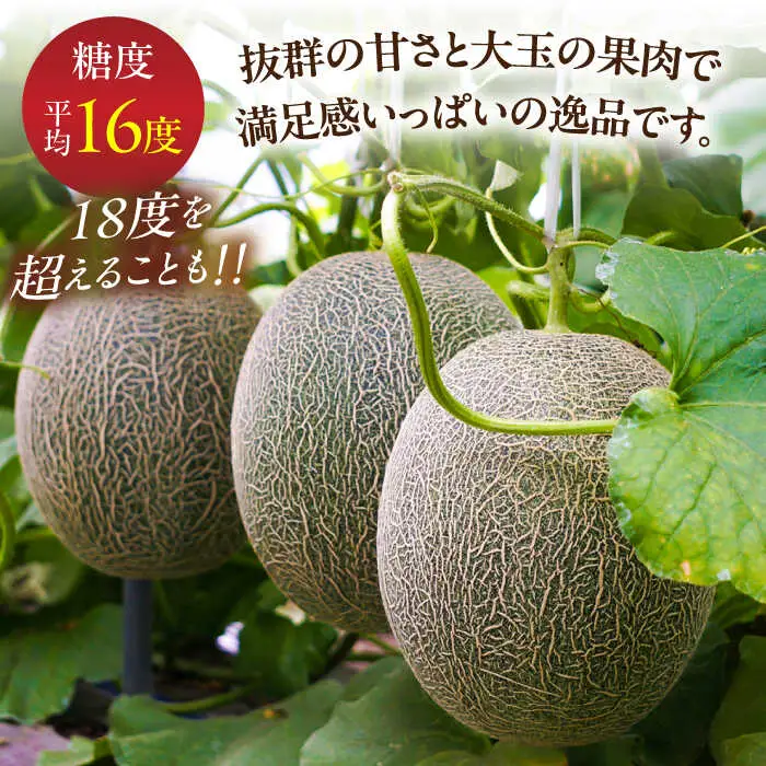 【2026年7月初旬-発送】グリーンメロン 2玉 約4kg / メロン めろん 果物 フルーツ / 南島原市 / うえだメロン園[SAD010]