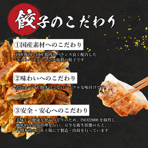 訳あり 国産肉の得々餃子 240個 定期便 毎月6回 餃子 ギョウザ IB