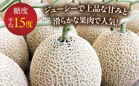 【2026年7月下旬-発送】アールスメロン 2玉 約3.2kg / メロン めろん 果物 フルーツ / 南島原市 / うえだメロン園[SAD011]