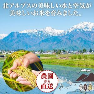 令和7年産 コシヒカリ 無洗米 10kg×1袋 長野県産 米 白米 精米 お米 ごはん ライス 甘み 農家直送 産直 信州 人気 ギフト 時短 お取り寄せ 平林農園 送料無料 長野県 大町市
