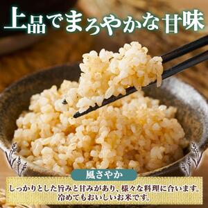 令和7年産 コシヒカリ 風さやか 玄米 各5kg 長野県産 米 お米 ごはん ライス 低GI 甘み 農家直送 産直 信州 人気 ギフト お取り寄せ 平林農園 送料無料 長野県 大町市