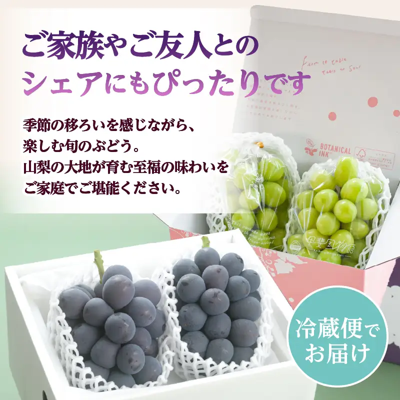 【2026年配送】黒ぶどうとシャインマスカットのお楽しみ定期便(全2回)