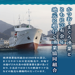 a31-011　 焼津ミナミマグロスキンレスセット