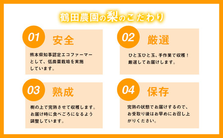 【先行予約】梨 鶴田農園 梨予約 豊水 あきづき 甘太 のいずれかお届け 約2kg 5～6玉 【日付指定不可】 熊本県 荒尾市産 和梨 《8月下旬-9月下旬頃出荷》