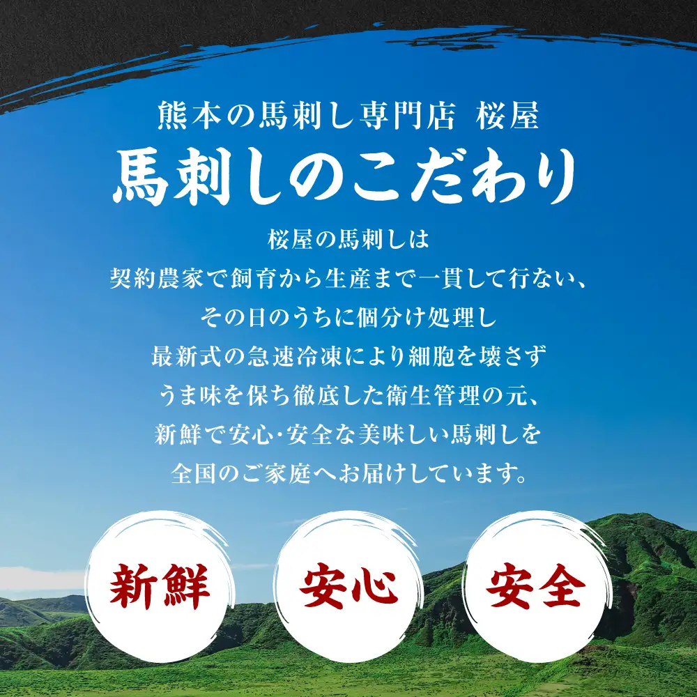 【桜屋】 カイノミ 馬刺し300g（専用醤油付き150ml×1本） 馬刺し