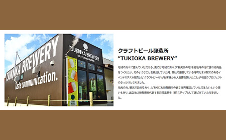  地ビール ＼月岡ブルワリー 月の果実   IPA／  地ビール 350ml 6本  shinbo013