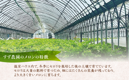 【先行予約】オルフェメロン 4玉 メロン すず農園