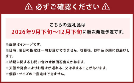じゃがいも キタアカリ Lサイズ 約10kg×2箱 計約20kg （JA） ジャガイモ 芋 いも イモ 国産 【2026年9月下旬～12月下旬迄発送予定】