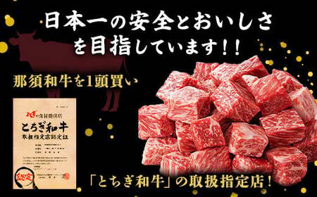 とちぎ和牛 ステーキ用ヒレ　450g（150g×3枚）【栃木県共通返礼品・栃木県産】 ｜ とちぎ和牛 ステーキ 寿楽 一頭買い A5 国産 冷凍 栃木県 那須町〔P-339〕