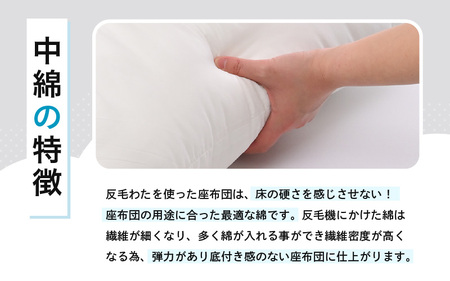 床の硬さを感じにくい「反毛わた」ヌード座布団（八端判59cm×63cm）3枚組 [A-20416]