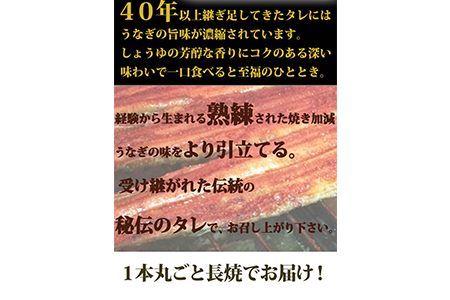 大型サイズ　 ふっくら柔らか国産うなぎ蒲焼き　約２人前　化粧箱入◆｜うなぎ うなぎ うなぎ うなぎ