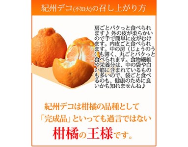 果肉プリプリ♪　完熟紀州デコ(不知火) 約3kg｜柑橘 不知火 デコポン みかん フルーツ 果物 旬 先行予約 でこぽん 国産 産地直送 完熟 一級品  美浜町