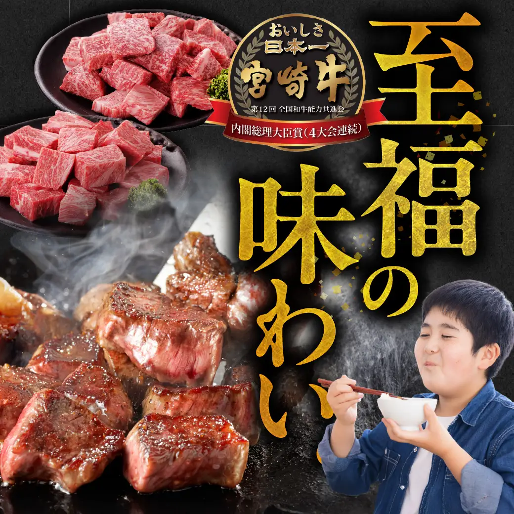 畜産農家応援! 宮崎牛サイコロステーキ2種1kgセット(霜降り400g 赤身600g)〔19-N2-004-1kg-S4A6〕_(都城市)  牛肉 黒毛和牛 赤身 霜降り 肩ロース又はロース ウデモモ 1kg ミヤチク ギフト 贈答用 