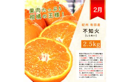 【4か月定期便】旬の柑橘定期便 / みかん ミカン 柑橘 オレンジ 果物 くだもの フルーツ定期便 和歌山 ※離島への配送不可 【uot050-4-a】