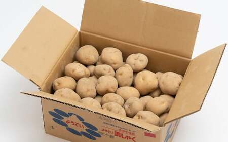 じゃがいも 男爵 Lサイズ 約10kg×2箱 計約20kg （JA） ジャガイモ 芋 いも イモ 国産 【2026年9月下旬～2027年2月下旬迄発送予定】