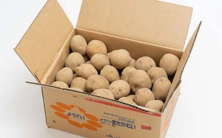 じゃがいも きたかむい Lサイズ 約10kg×2箱 計約20kg （JA） ジャガイモ 芋 いも イモ 国産 【2027年1月上旬～2月下旬迄発送予定】