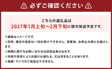 じゃがいも 男爵 きたかむい Lサイズ 各約10kg×1箱 計約20kg （JA） ジャガイモ 芋 いも イモ 食べ比べ 食べくらべ セット 国産 【2027年1月上旬～2月下旬迄発送予定】
