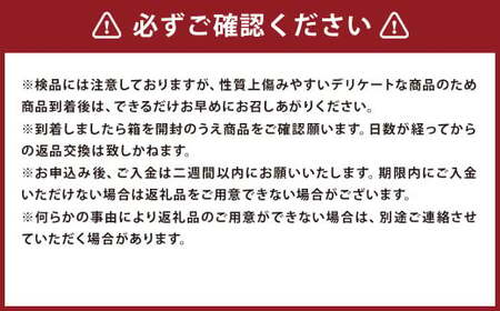 スイートコーン 味来 2Lサイズ 13本入×2箱 計26本 （JA） コーン とうもろこし トウモロコシ 国産 冷蔵 【2026年8月下旬～9月上旬迄発送予定】