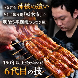 数量限定 国産うなぎ 蒲焼き（長焼き）120g程度×1本 ＜オリジナル御朱印付き＞　|  明治５年創業の老舗名店 150年秘伝のタレ付き 国産養殖うなぎ 蒲焼き うな重 ひつまぶしに 栃木県 栃木市