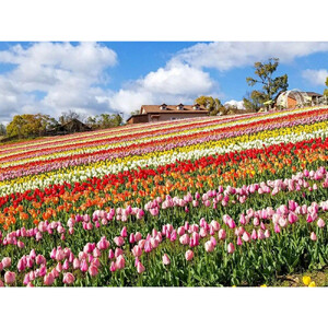 ハーベストの丘入園券　大人