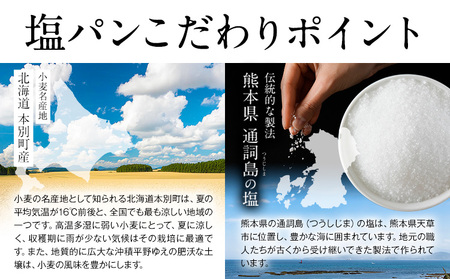 天然酵母 塩パン 10個 セット パン ローカルベーカリー《7-14営業日以内に出荷予定(土日祝除く)》焼きたてを急速冷凍 手作り 天然酵母パン 朝ごはん おやつ 軽食 ランチ 北海道 本別町