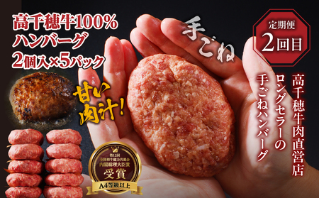 【3か月定期便】 高千穂牛ステーキ定期便 牛肉 肉 お肉 サーロイン ステーキ 赤身 赤身ブロック 定期便 定期 国産牛 ブランド牛 和牛 ローストビーフ  ハンバーグ 国産 贈答 贈り物 簡単調理 おかず 普段使い 宮崎県 高千穂 _Tk002-t083