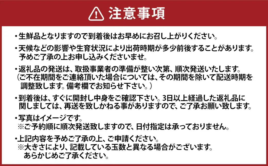 デコポン 約3kg （8～20玉） 果物 くだもの フルーツ 柑橘 【2027年2月下旬～3月下旬迄順次発送予定】