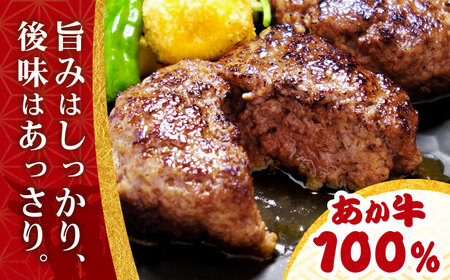 あか牛100％ハンバーグ 約120g×6個 ハンバーグ[AYCQ001]