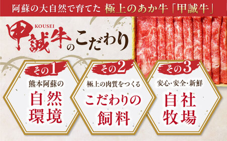 あか牛リブロース スライス 約400g 牛肉 リブロース[AYCQ007]