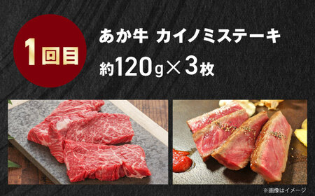 【全3回定期便】【GI認証】くまもとあか牛 食べ比べ B カイノミ リブロース 赤身モモブロック [AYCQ027]