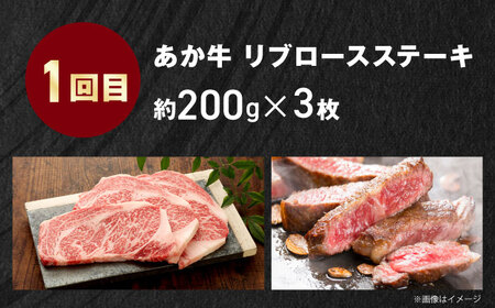 【全3回定期便】【GI認証】くまもとあか牛 食べ比べ F リブロース トモサンカク 赤身モモブロック[AYCQ031]