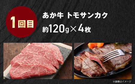 【全3回定期便】【GI認証】くまもとあか牛 食べ比べ E トモサンカク カイノミ リブロース ロース[AYCQ030]