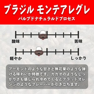 YouTubeで話題！ スペシャルティコーヒー豆 3種セット (200g×3種)《粉 (中挽き)》 [1210]