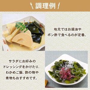 早採り 塩蔵わかめ 若芽っこ 250g×2袋 (計500g) 海鮮 海藻 わかめ ワカメ 魚貝類 魚介類 みそ汁 スープ 酢の物 小分け 贈答品 贈答用 三陸産 岩手県 大船渡市