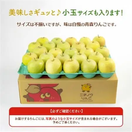 【26年11月より順次発送】平均糖度13度以上! 王林 約10kg おもてなし用 青森県産 りんご_果物・フルーツ りんご  リンゴ 林檎_【配送不可地域：離島・沖縄県】【1609621】