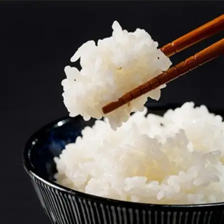 【玄米5kg】紗奈～はまだ農園 　玄米(コシヒカリ)_ 玄米 米 こめ コメ   コシヒカリ 米 こしひかり_【1600210】
