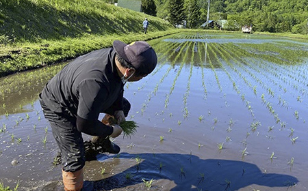 【令和7年度産】長野県小谷村百姓七人衆のあきたこまち　１０kg