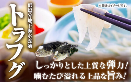【全2回定期便】壱岐産 高級魚 刺身 4種セット 計195g（トラフグ・ヒラメ・ヒラマサ・真鯛）[JDT082]