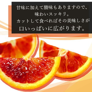 紀州 有田産 ブラッド オレンジ 5kg 【ご家庭用】※※2027年3月上旬頃～3月下頃に順次発送 (お届け日指定不可) ※離島への配送不可 【uot853】
